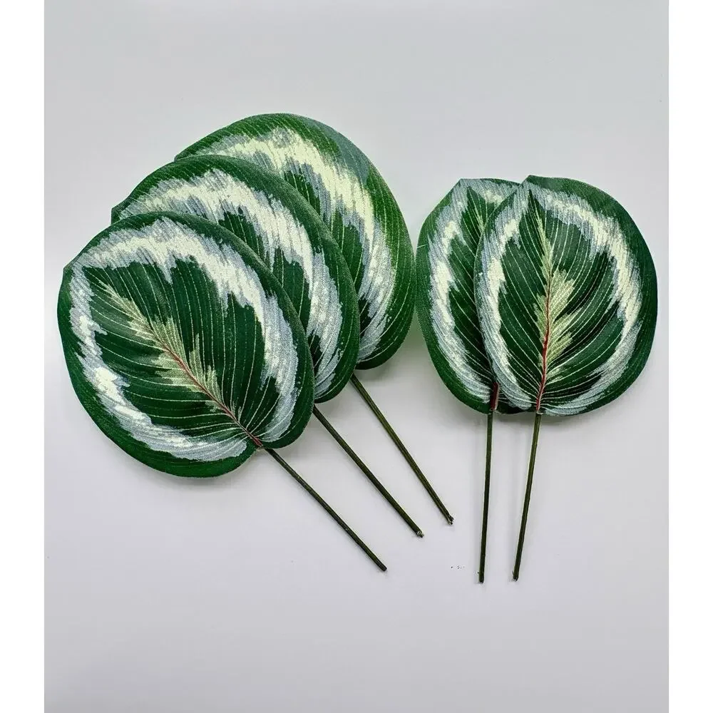 Medallion Plant Floral Picks Florist Supply Set of 25 Leaves Calathea Roseopicta